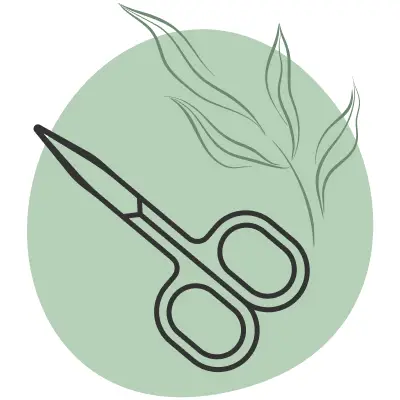 manucure icone
